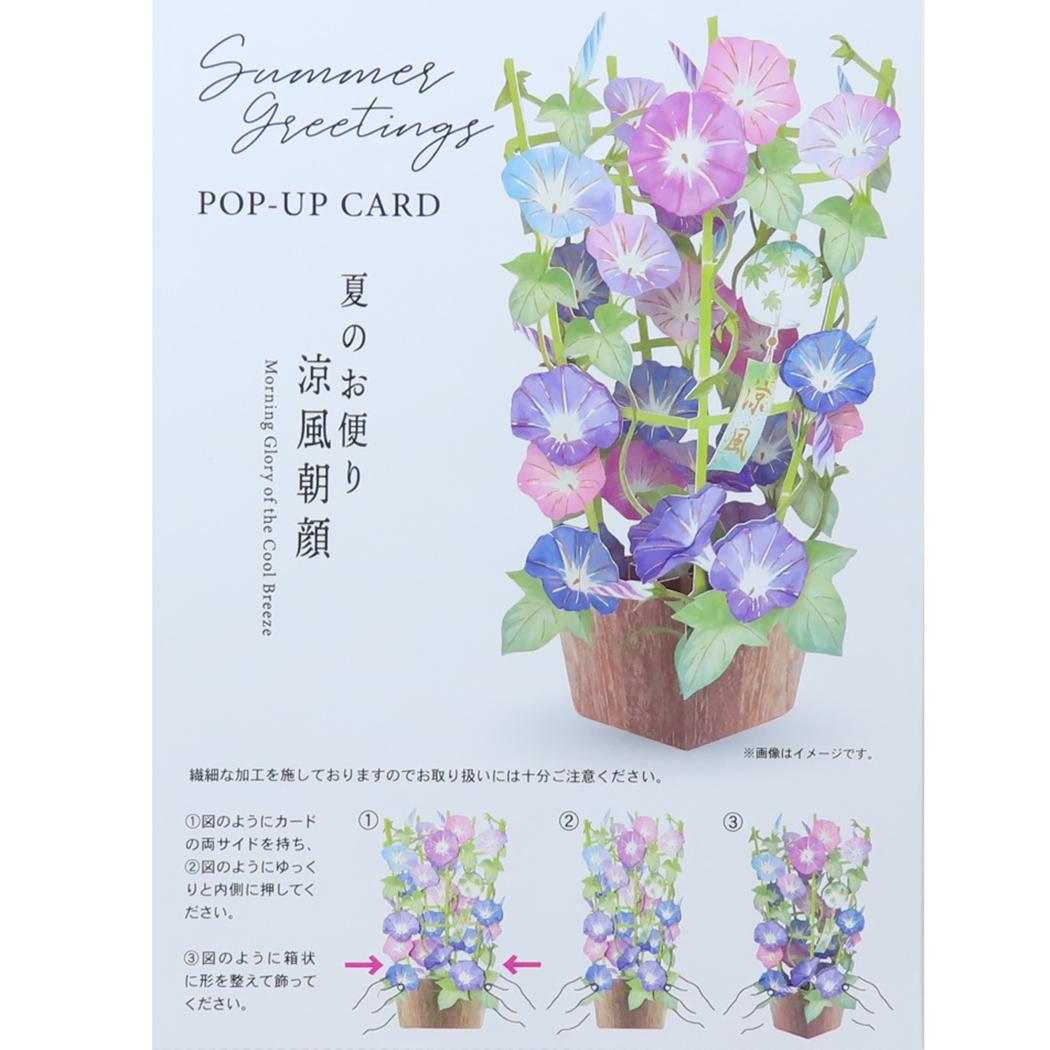 サマーポップアップカード グリーティングカード 涼風朝顔 APJ サマーカード 封筒付き メッセージカード メール便可