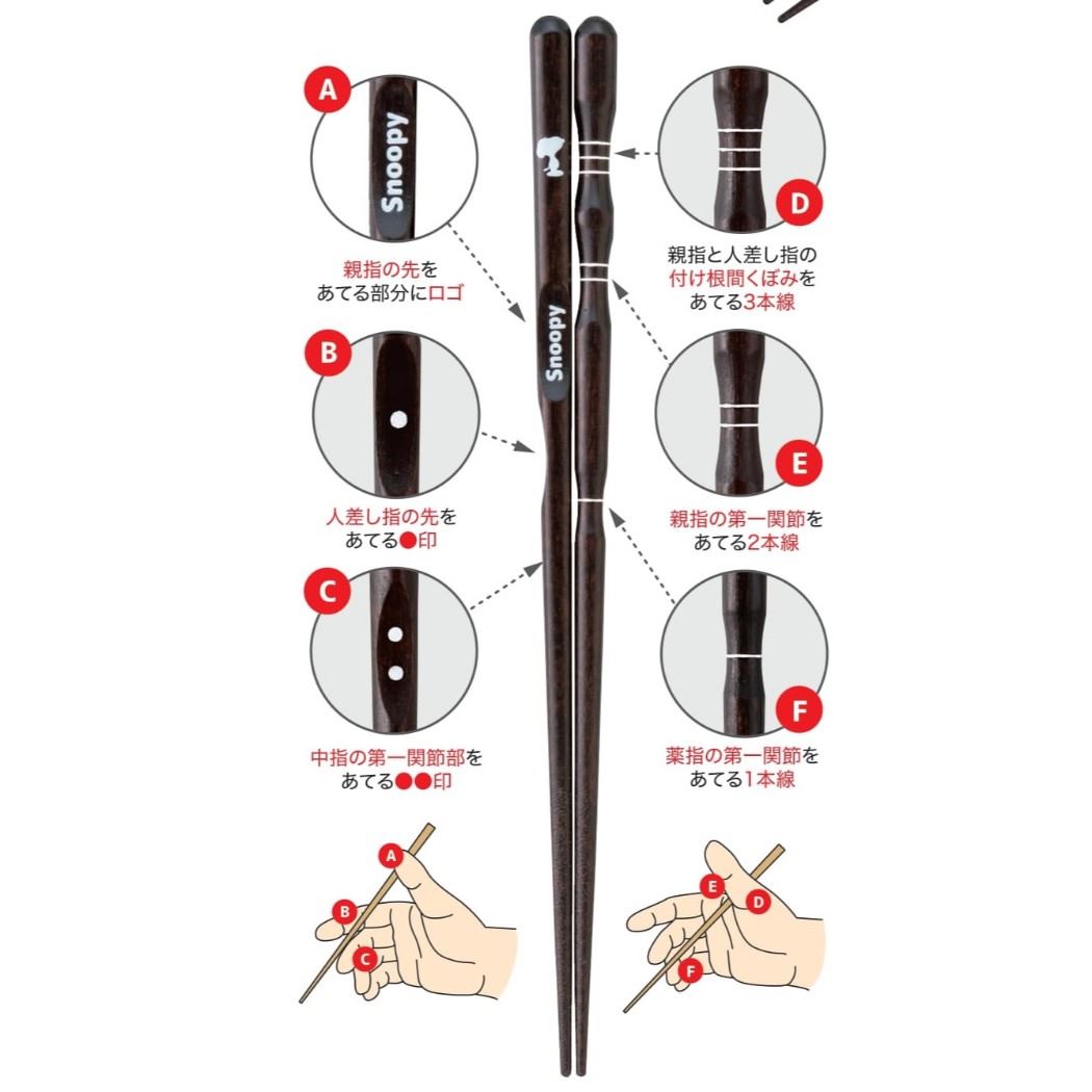 キッズ用 じょうず箸 右きき用 お箸 レッスン スヌーピー お子様サイズ ピーナッツ 金正陶器 日本製矯正箸 メール便可