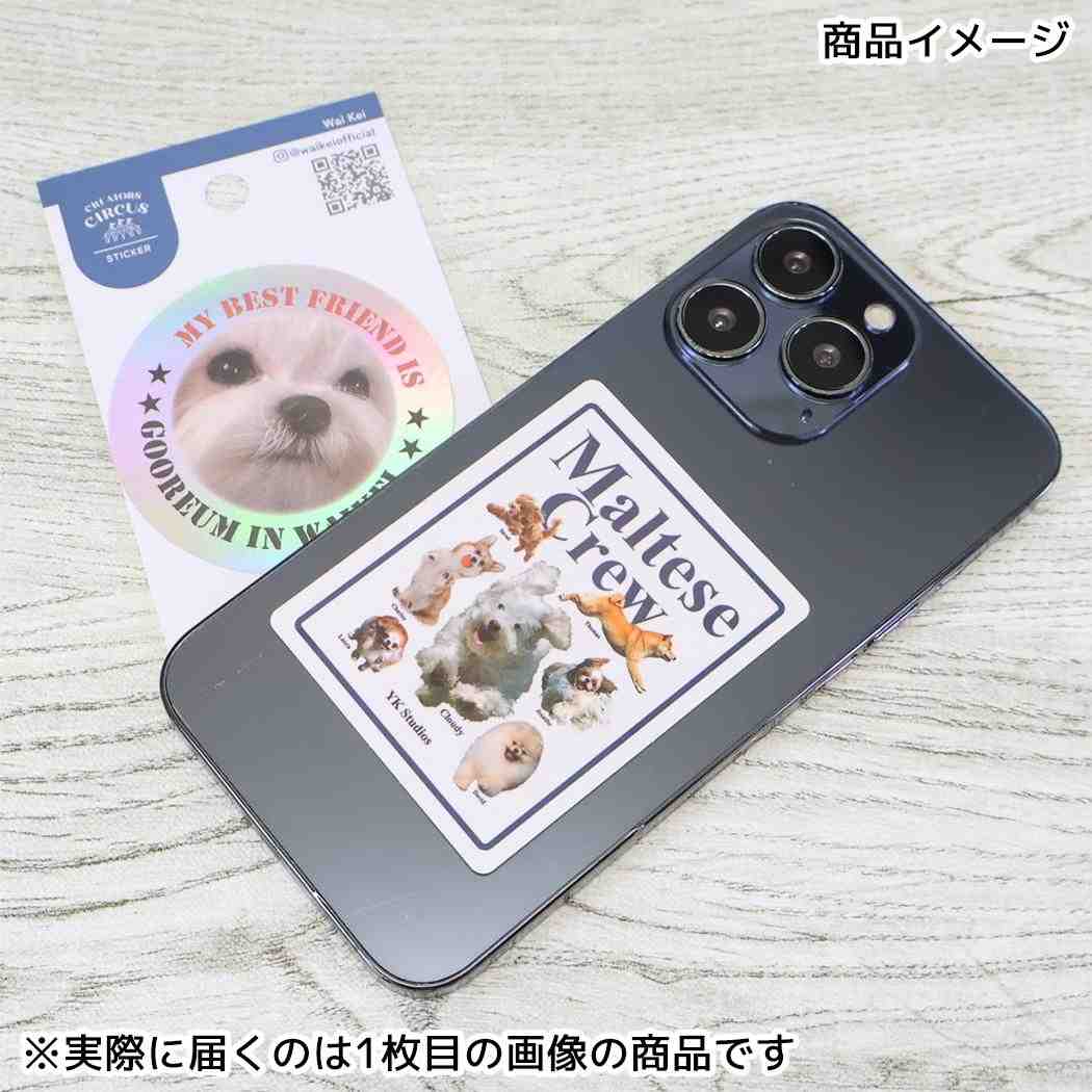 クリエイターズサーカス ダイカットシール ステッカー Waikei 2 フロンティア