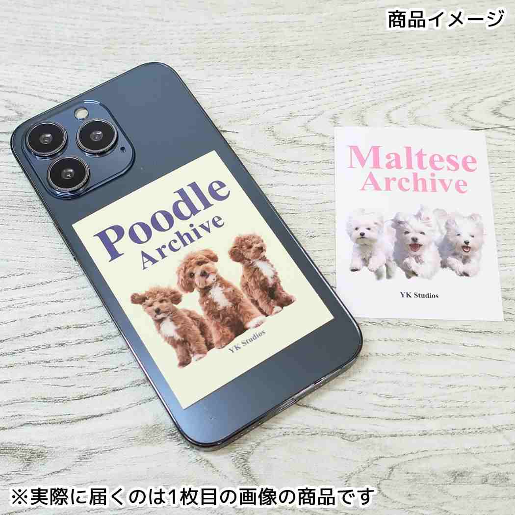 クリエイターズサーカス ダイカットシール ステッカー Wai kei Poodle Archive フロンティア 耐水 耐光 デコシール CREATORS CIRCUS グッズ メール便可 シネマコレクション