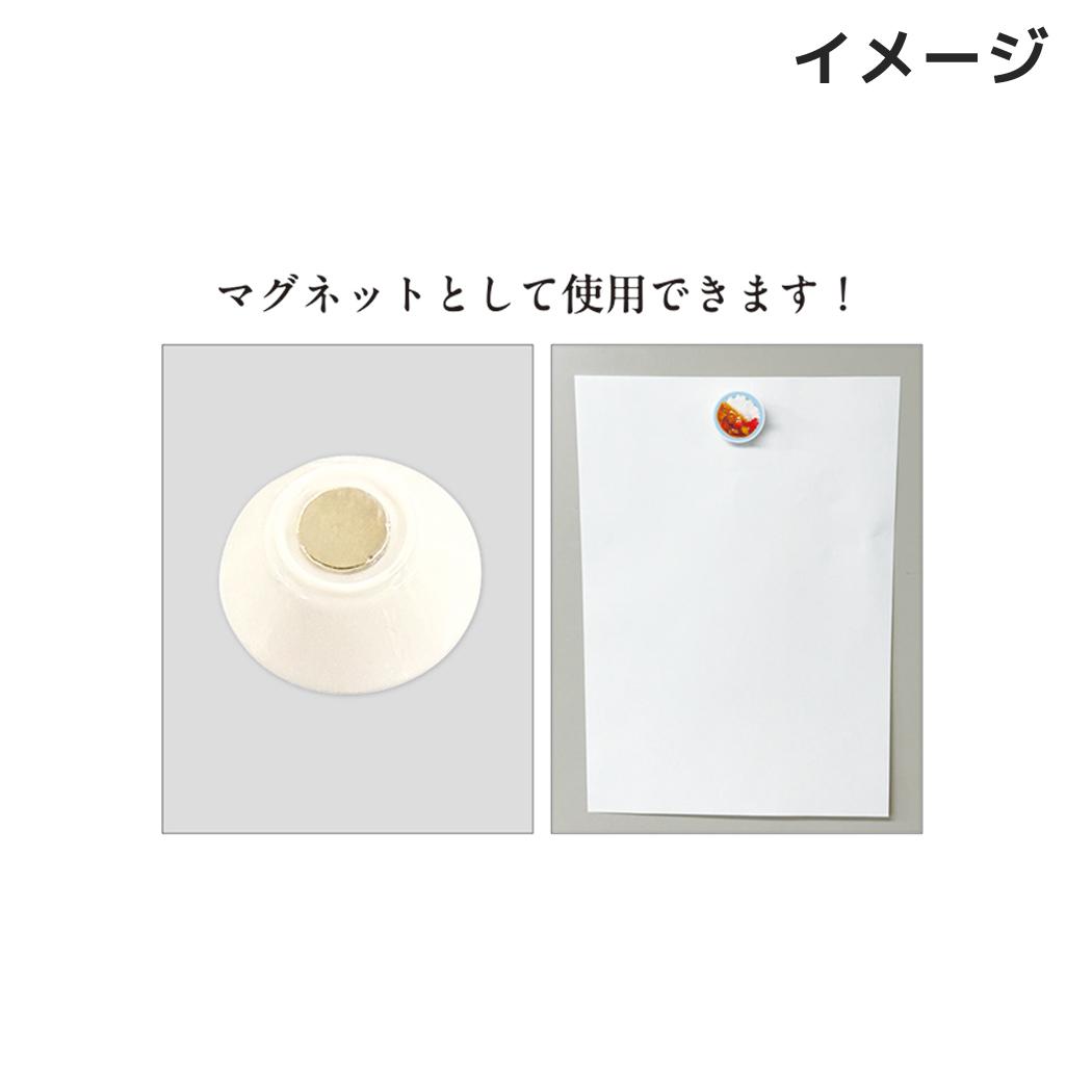 大人の図鑑 磁石 トレーディングミニチュアマグネット Vol.2 BOX 9個セット カミオジャパン