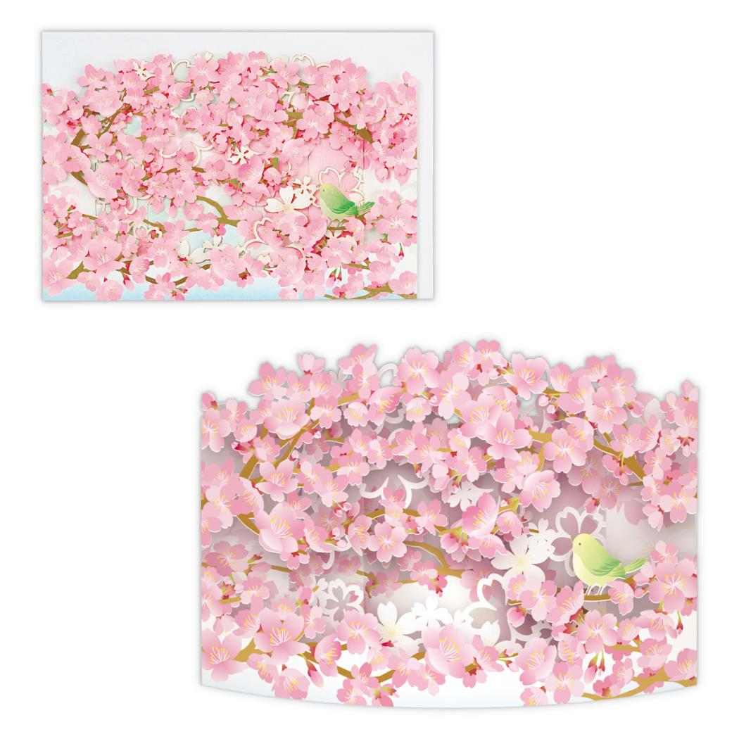 グリーティングカード 多目的 立体カード カーブレーザー桜 日本ホールマーク 春 メッセージカード グッズ メール便可 シネマコレクション