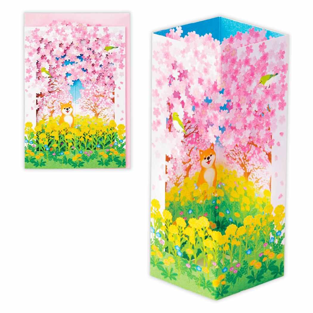 グリーティングカード 多目的 立体カード 桜と花畑 日本ホールマーク 春 メッセージカード グッズ メール便可 シネマコレクション