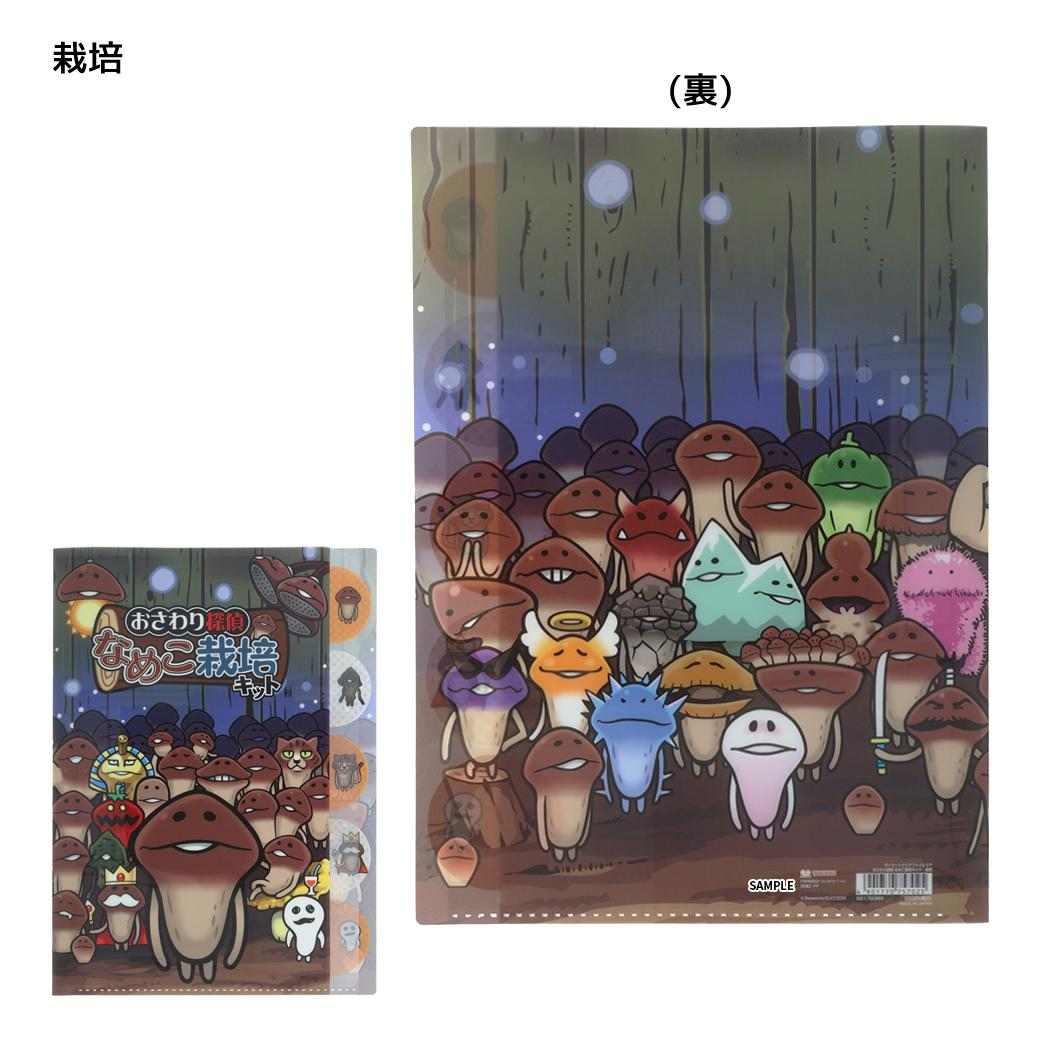 おさわり探偵 なめこ栽培キット ポケットファイル ダイカットクリアファイル5P A4 栽培 サンスター文具