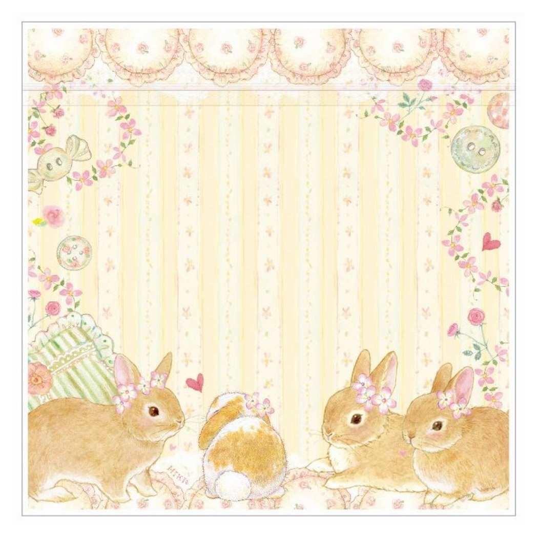 たけいみき 小分けビニール袋 ジッパーバッグ 5枚入り 小分け袋 ラビットルーム クローズピン プレゼント 男の子 女の子 ギフト