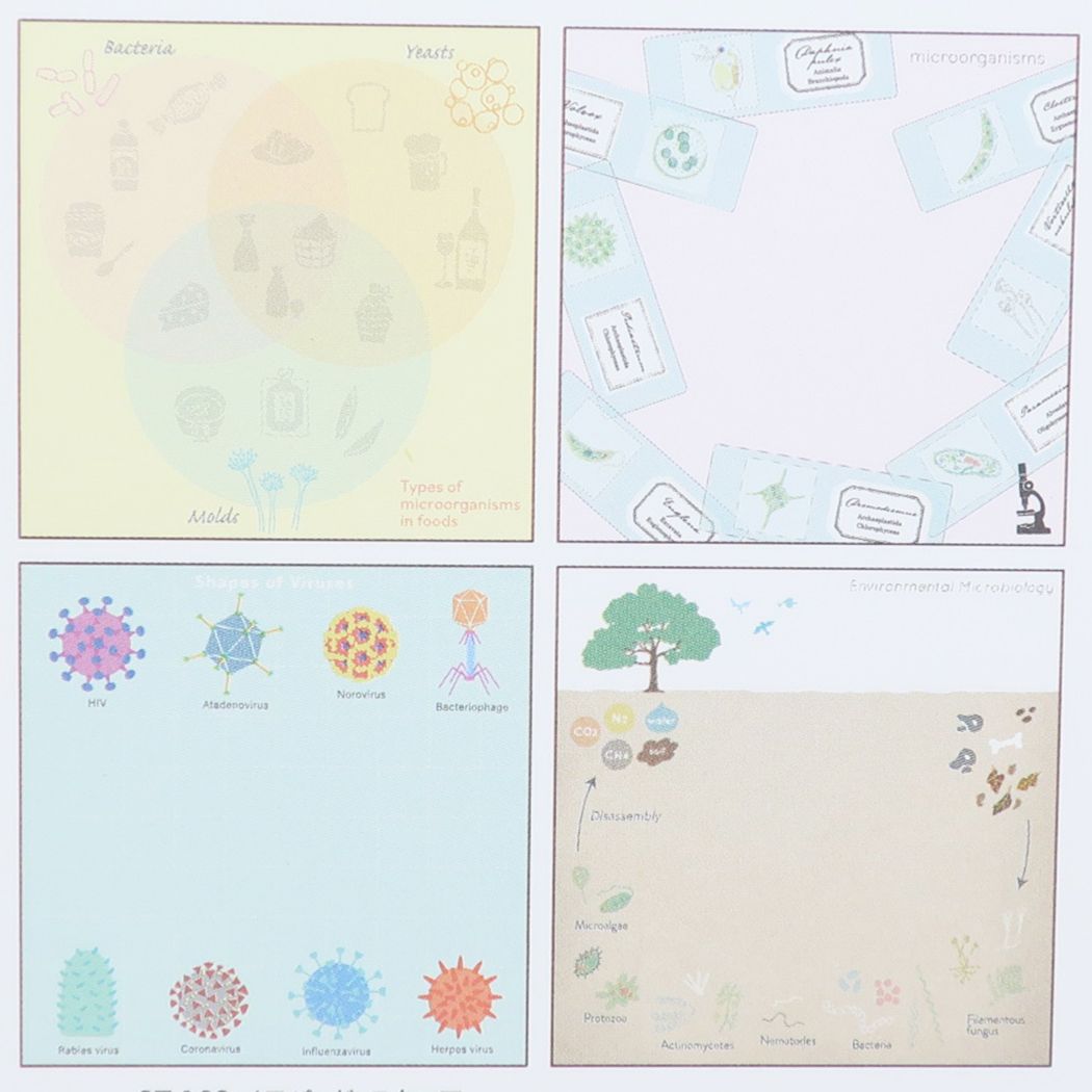 スクエアメモパッド STUDY HOLIC メモ帳 Green Flash 微生物学 プレゼント 男の子 女の子 ギフト