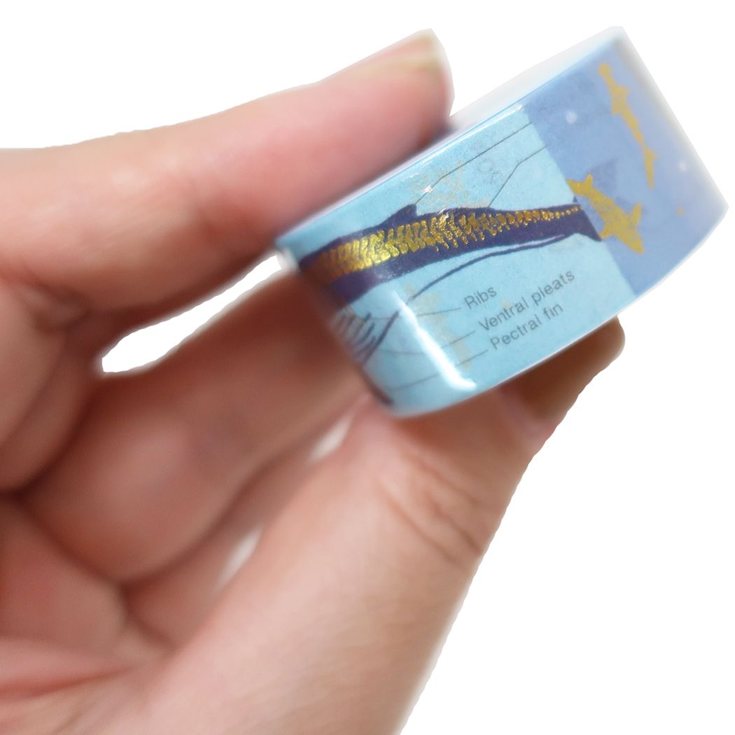 20mm金箔マステ STUDY HOLIC マスキングテープ Green Flash プレゼント 男の子 女の子 ギフト