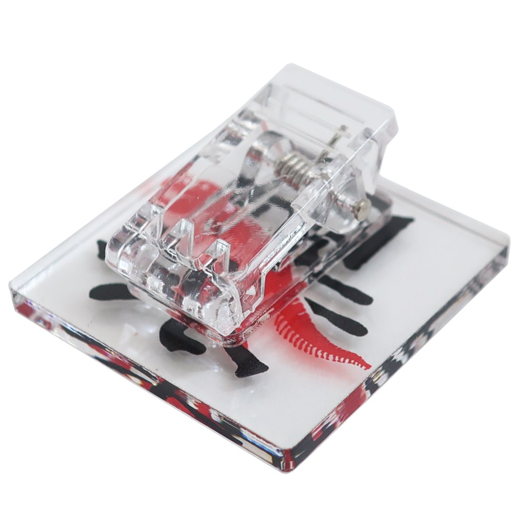 恐竜漢字 クリップ アクリル クリップ マブサウルス ジェイエム コレクション文具 プレゼント 男の子 女の子 ギフト