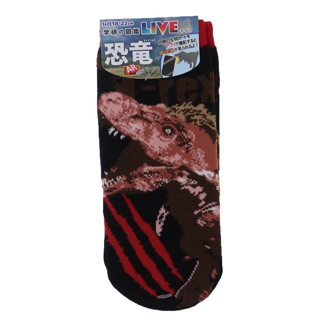 学研の図鑑LIVE 恐竜 男の子 女の子 靴下 ジュニア ジュニアソックス ティラノザウルス