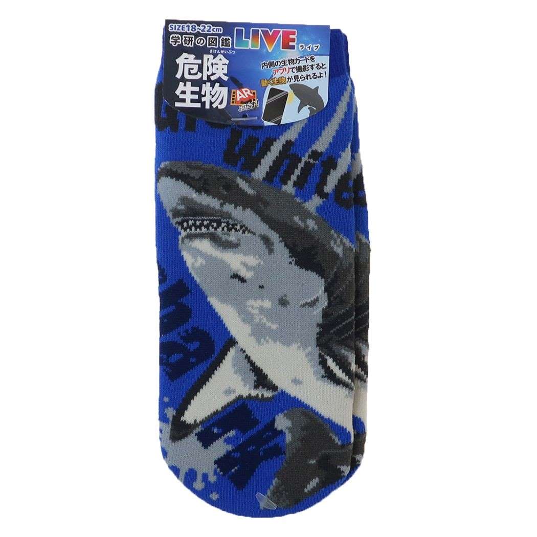 靴下 ジュニア 学研の図鑑LIVE 危険生物 ジュニアソックス ホオジロザメ プレゼント