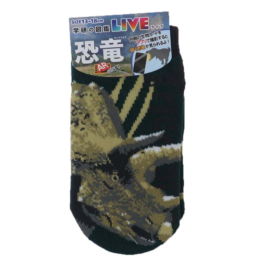 学研の図鑑LIVE 恐竜 男の子 女の子 子供用靴下 キッズソックス トリケラトプス