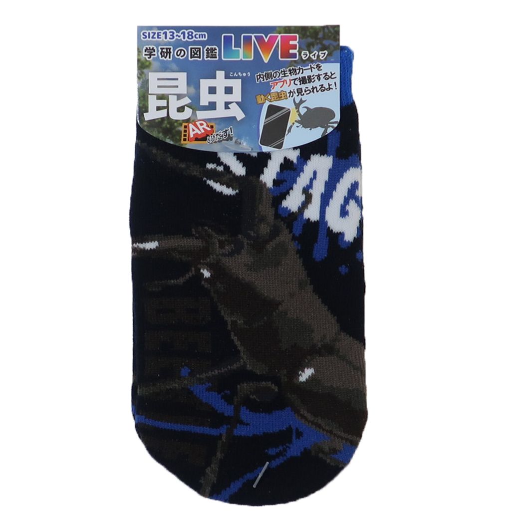 子供用靴下 学研の図鑑LIVE 昆虫 キッズソックス ノコギリクワガタ ジェイズプランニング