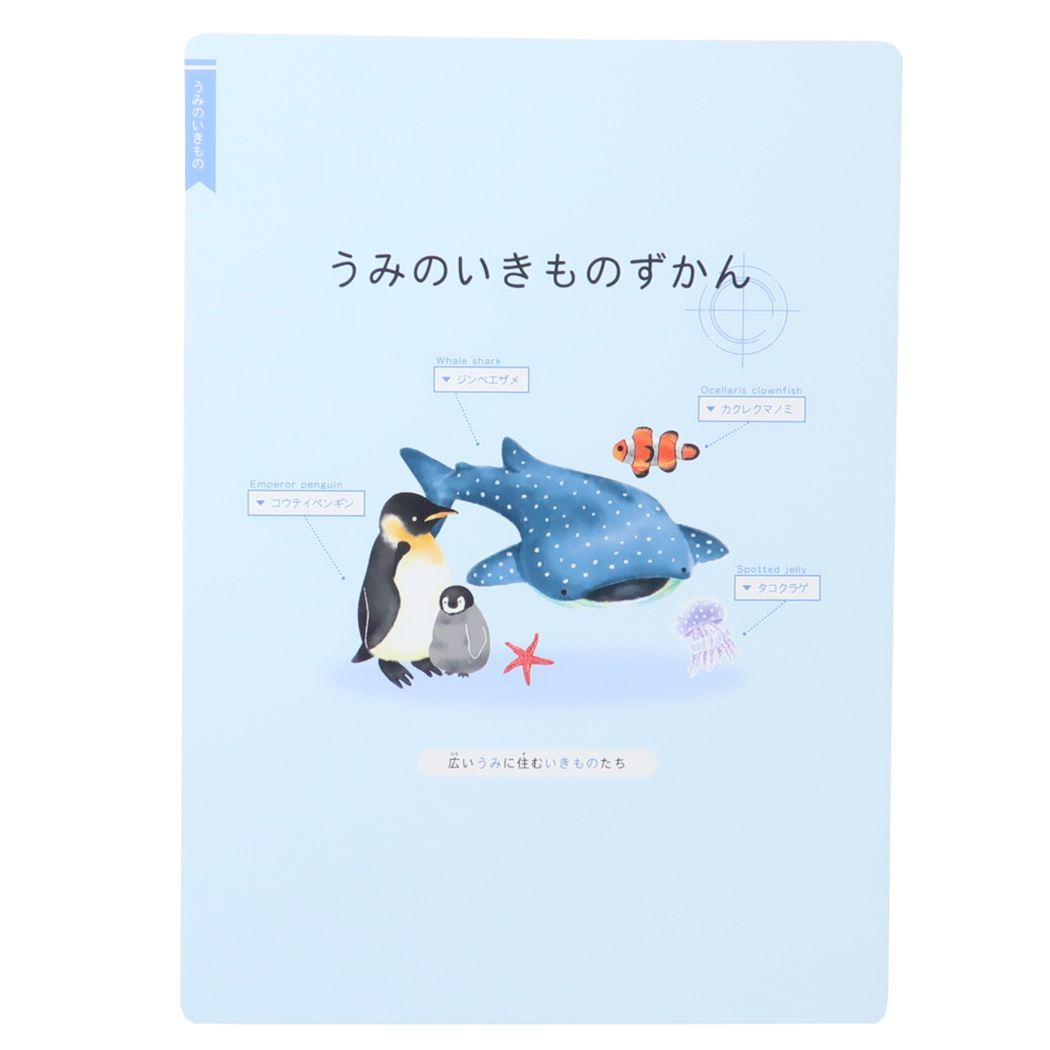 下敷き ずかん下じき うみのいきもの 新入学 カミオジャパン
