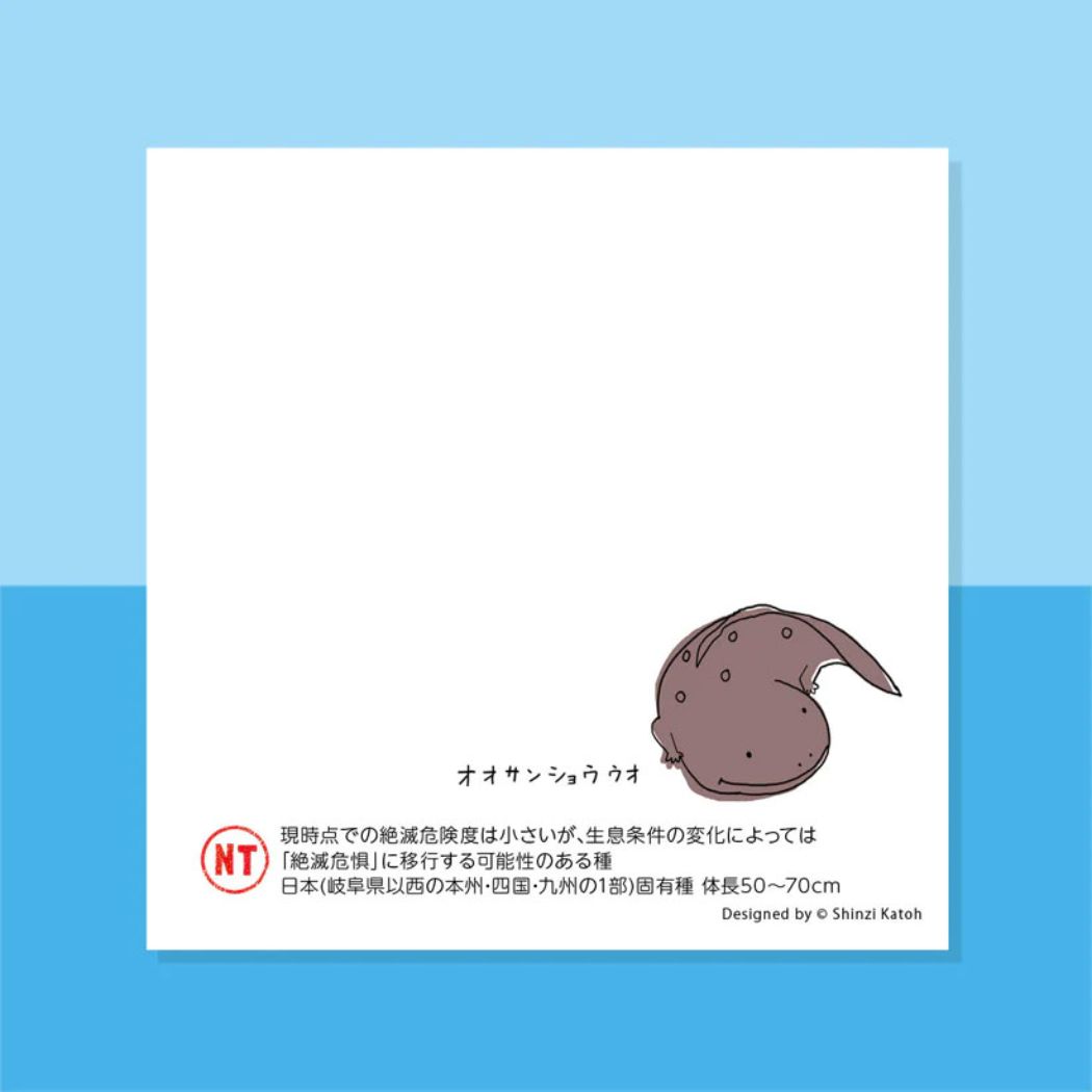 メモ帳 ブロックメモ 水の絶滅危惧種 木野瀬印刷