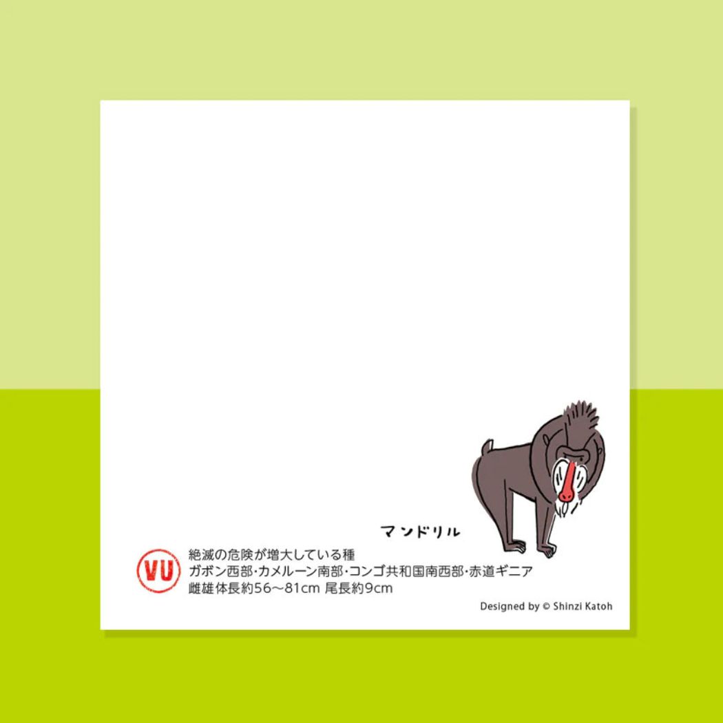 メモ帳 ブロックメモ 猿の絶滅危惧種
