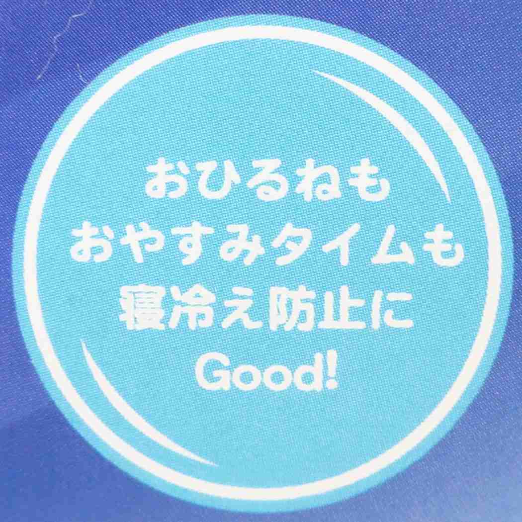 防寒 寝具 ミニーマウス スリーパー L ディズニー プリティープラネット プレゼント 男の子 女の子 ギフト