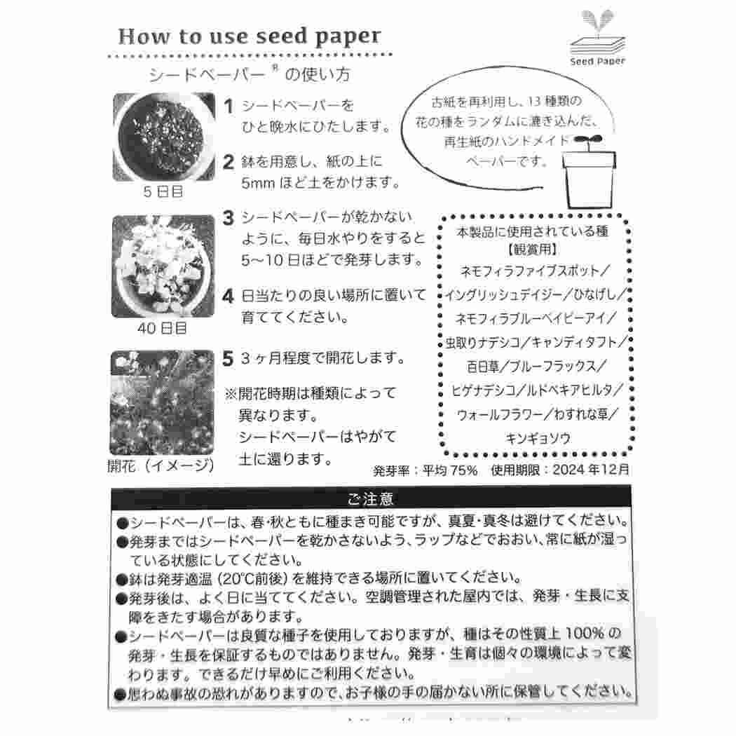 手紙セット 芽が出る レターセット オレンジ オリエンタルベリー プレゼント 男の子 女の子 ギフト