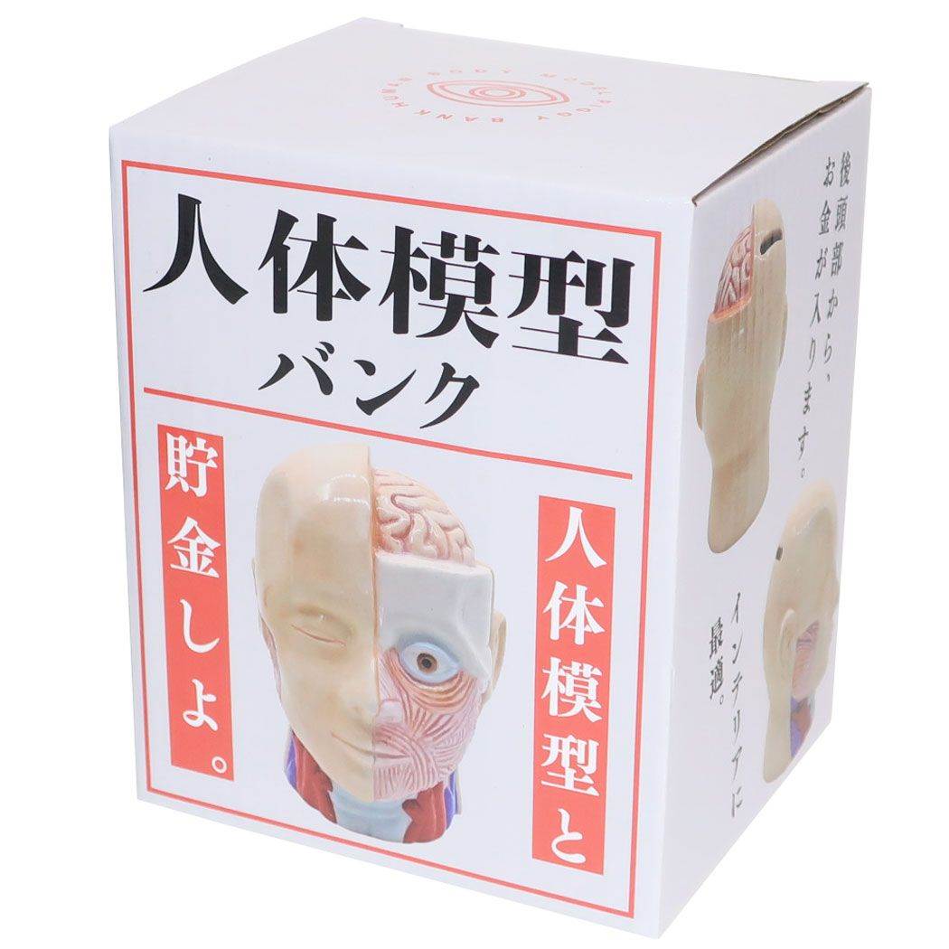 人体模型バンク おもしろ雑貨 陶器製貯金箱 サンアート