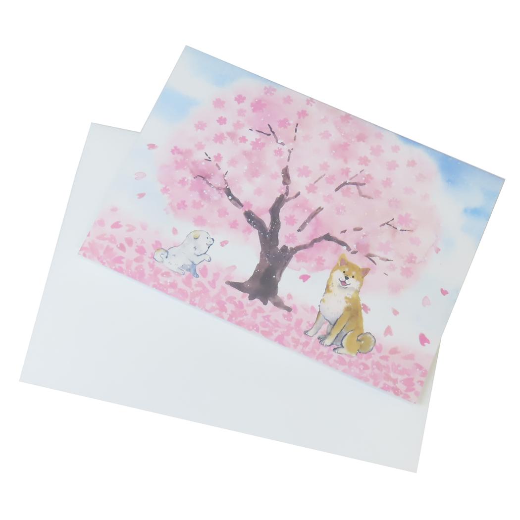 メッセージカード グリーティングカード しばいぬと春 桜 アクティブコーポレーション 封筒付き かわいい 日本製 メール便可