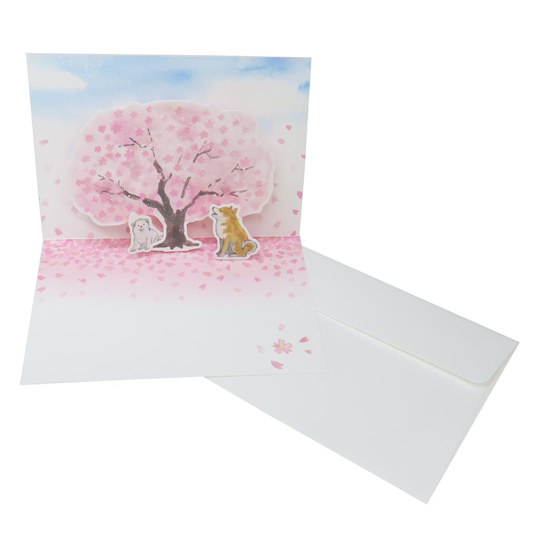 メッセージカード グリーティングカード しばいぬと春 桜 アクティブコーポレーション 封筒付き かわいい 日本製 メール便可
