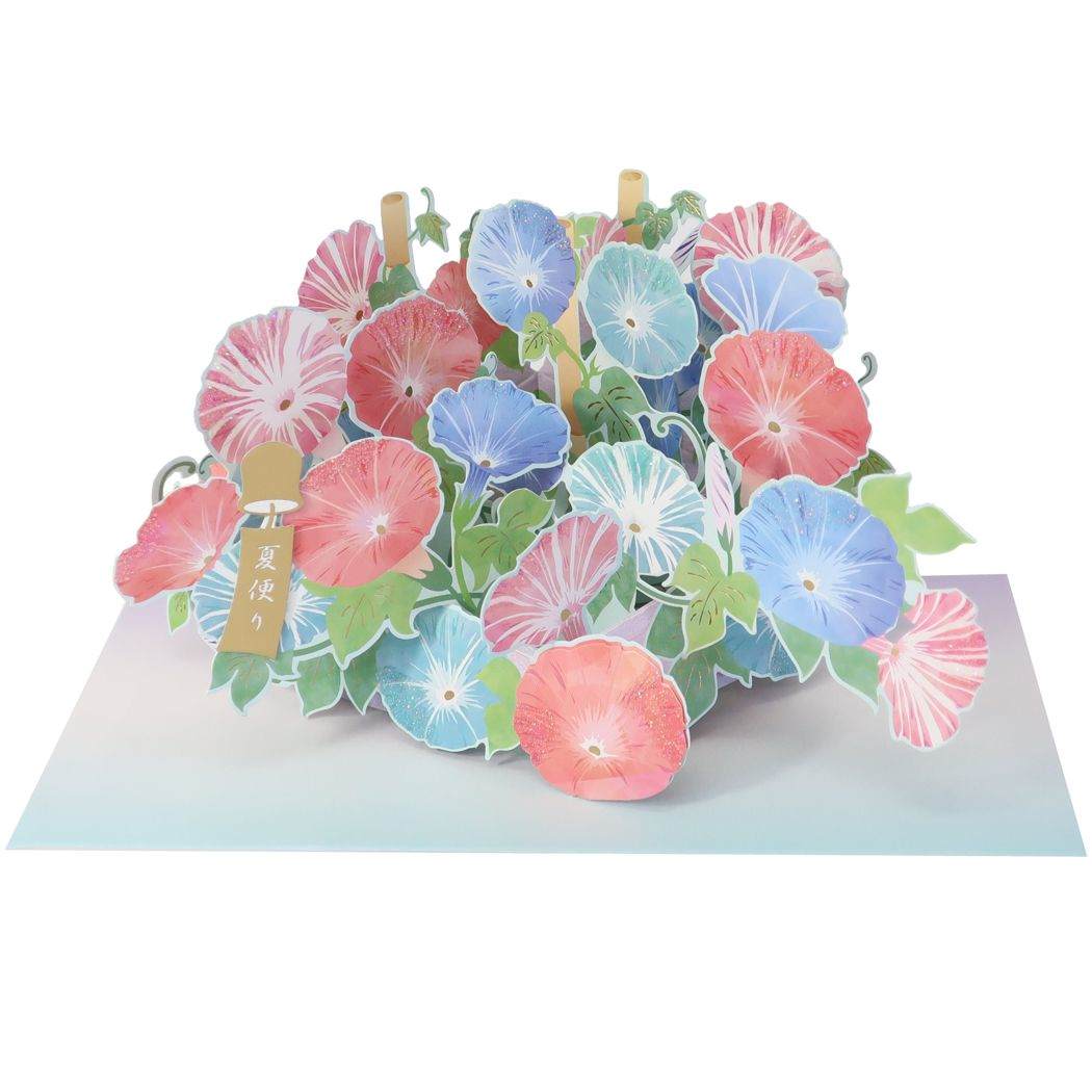 グリーティングカード 夏柄 ポップアップカード 朝顔 APJ メッセージカード サマーカード 立体的 グッズ メール便可 シネマコレクション