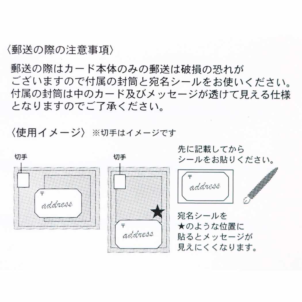 シアーポストカード POSTCARD Shota 雪解け水が映し出す世界 APJ 封筒付き おしゃれ メール便可
