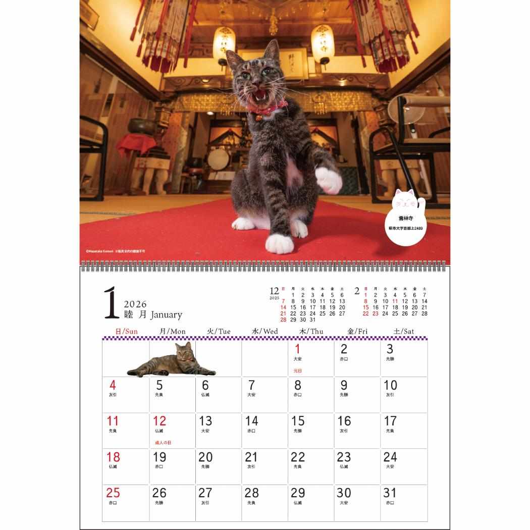 壁掛けカレンダー2026年 2026Calendar 招福 お猫様カレンダー スケジュール ねこ APJ 動物写真 書き込み インテリア 令和8年暦