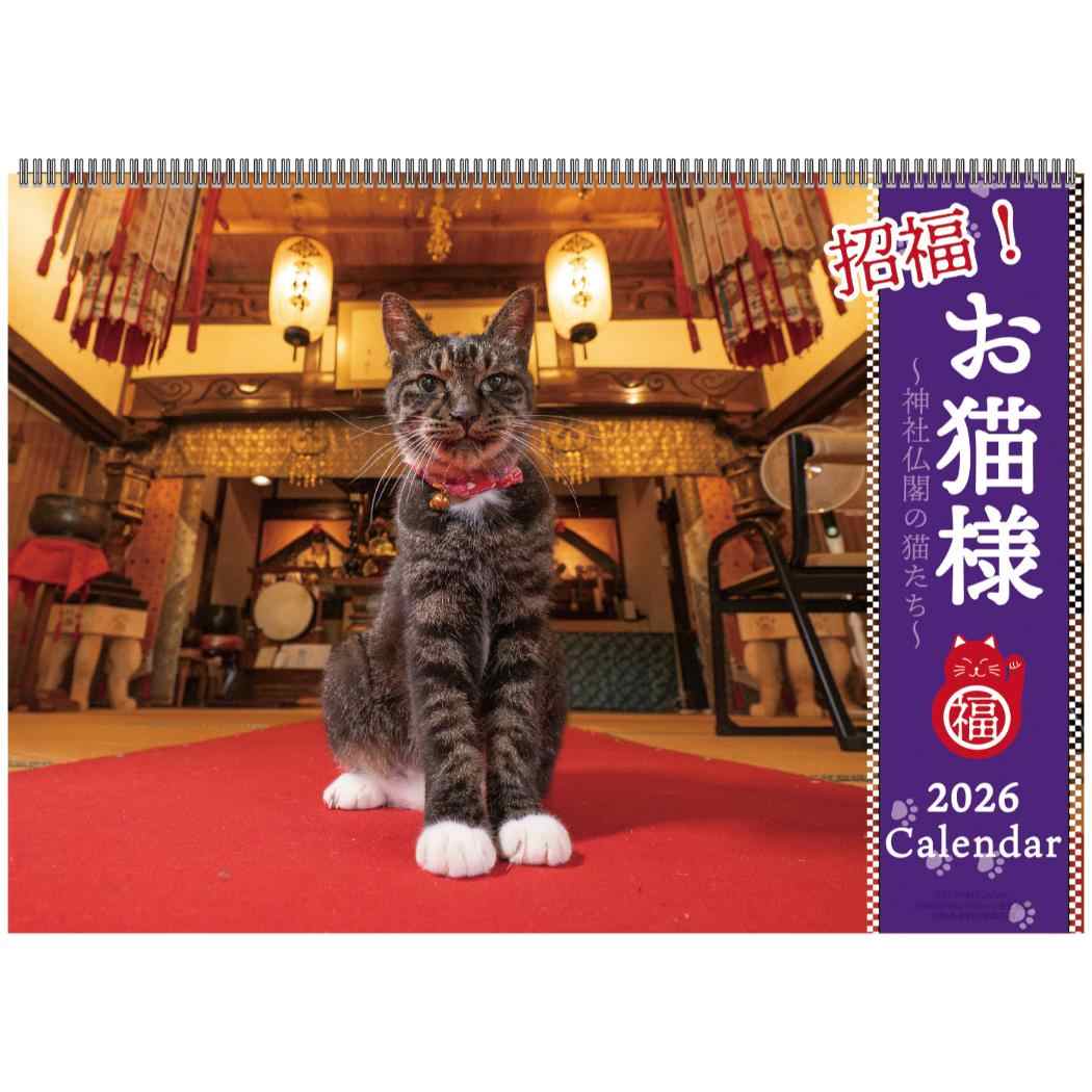 壁掛けカレンダー2026年 2026Calendar 招福 お猫様カレンダー スケジュール ねこ APJ 動物写真 書き込み インテリア 令和8年暦