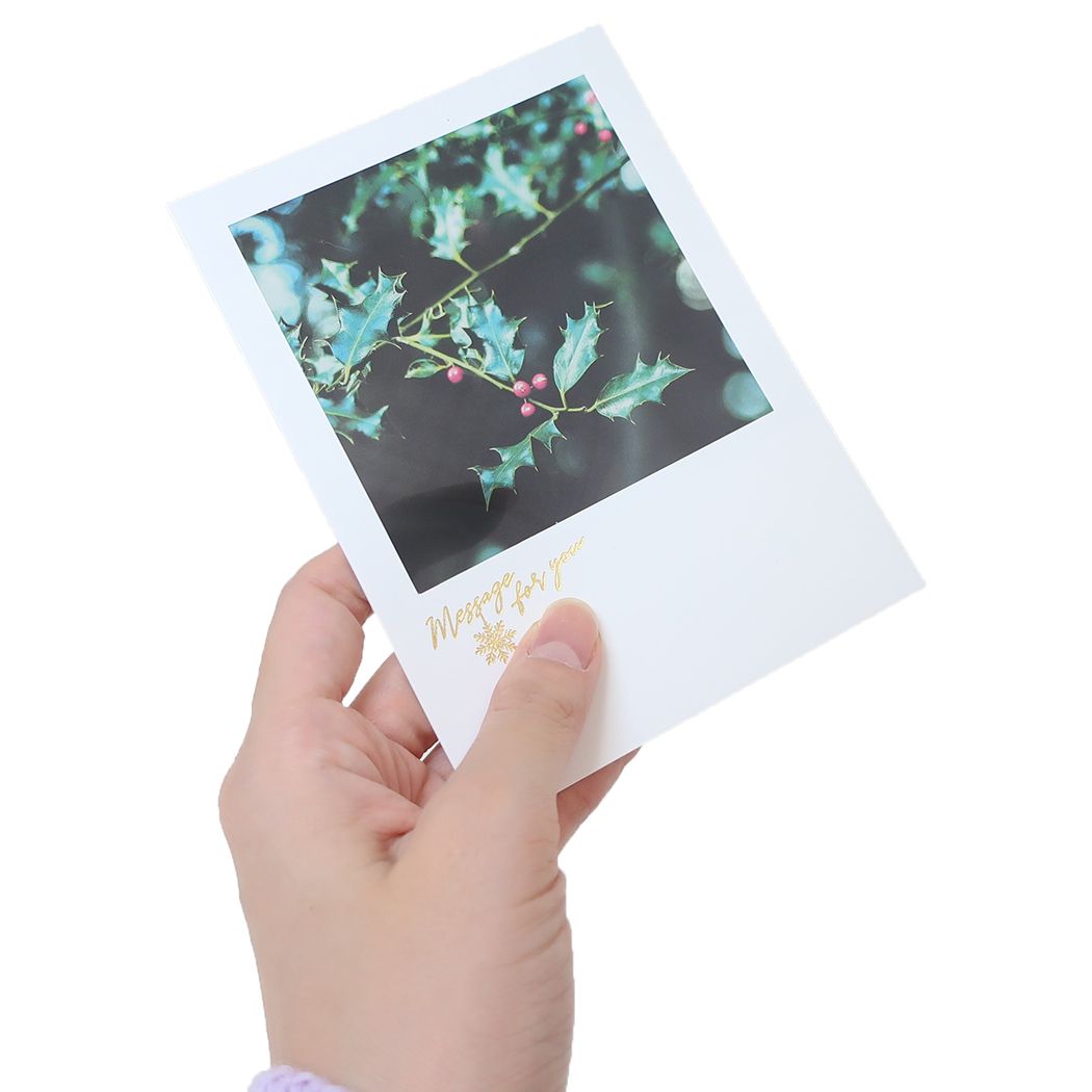 シアーポストカード クリスマスカード 柊の赤い実 APJ 封筒付きグリーティングカード Xmas メール便可