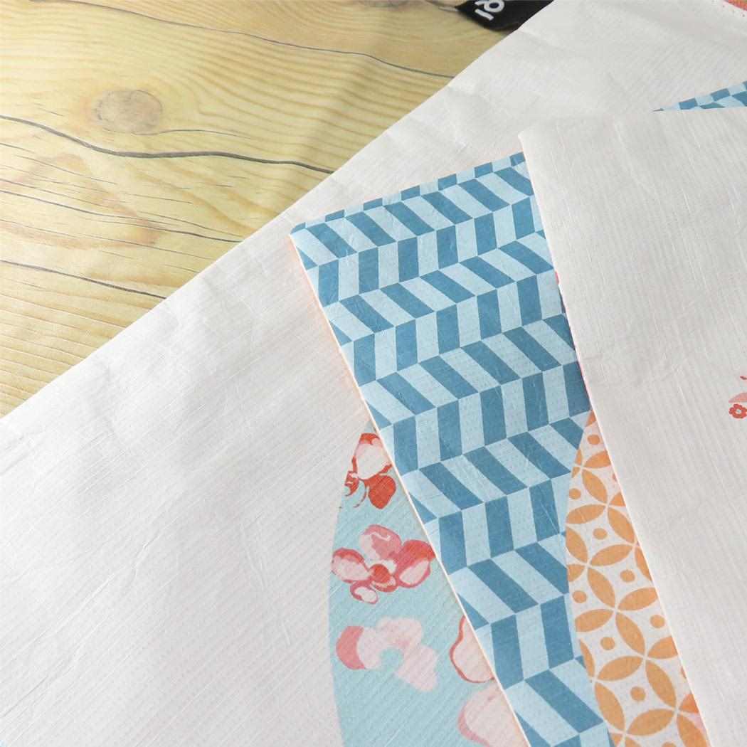 Zip Pockets 平ポーチ大中小3点セット SMILEY Blossom LOQI ローキー エーワイ スマイリー TYVEK 3連ポーチ