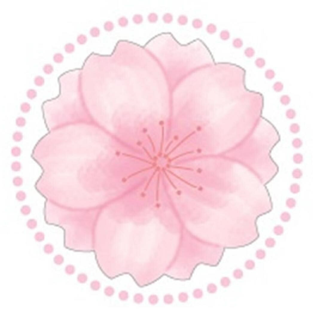 さくら和紙シール シール 八重桜 クローズピン デコレーション ギフト ステッカー メール便可