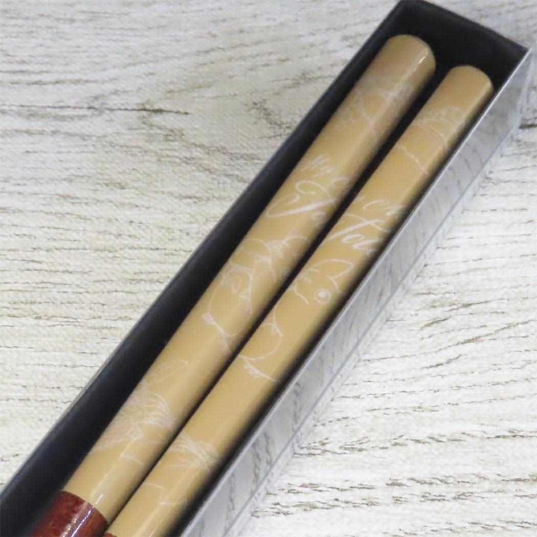 塗り箸21cm おはし となりのトトロ 茶 スタジオジブリ スケーター テーブルウェア メール便可