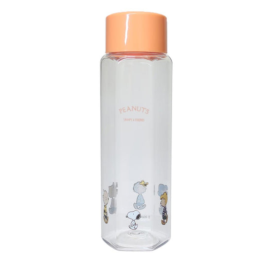 六角ブローボトル 250ml 水筒 スヌーピー ピーナッツ スケーター 軽量 マイボトル