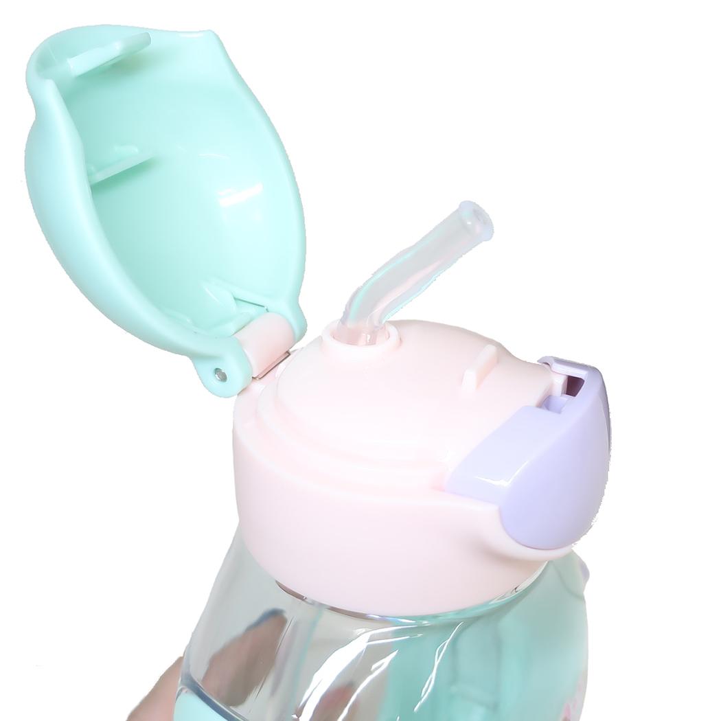 ワンプッシュストローボトル 水筒 ディズニープリンセス 530ml ディズニー スケーター ストロー飲み キッズ