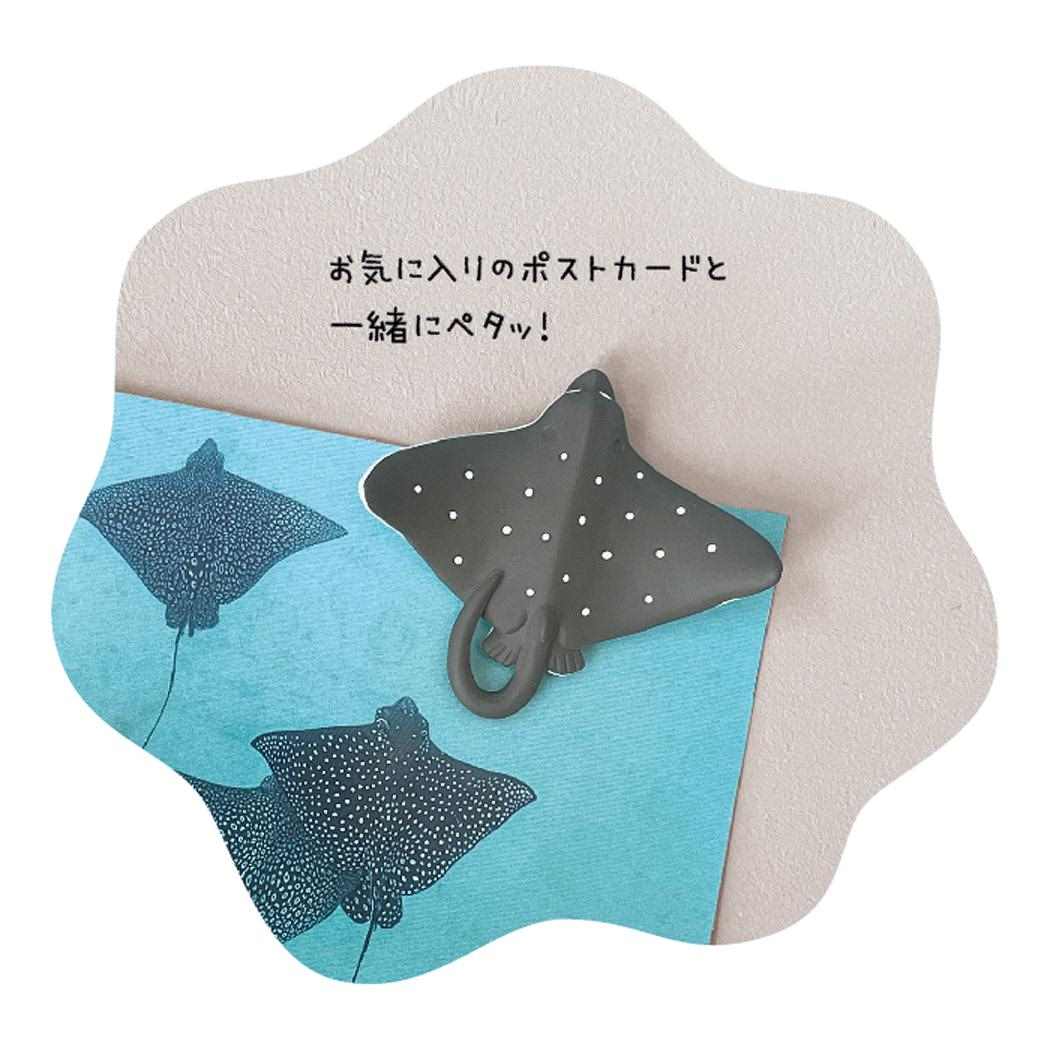 スイスイマグネット マグネット るんるんまりん トビエイ デコレ かわいい プレゼント メール便可