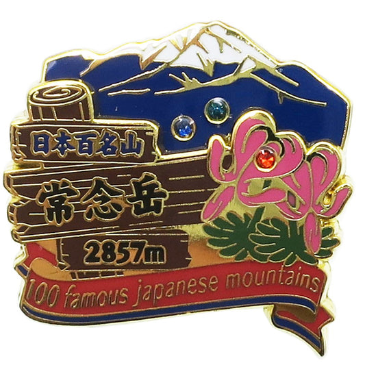 2段ピンズ ピンバッジ 日本百名山 常念岳 エイコー コレクションケース入り トレッキング 登山 メール便可