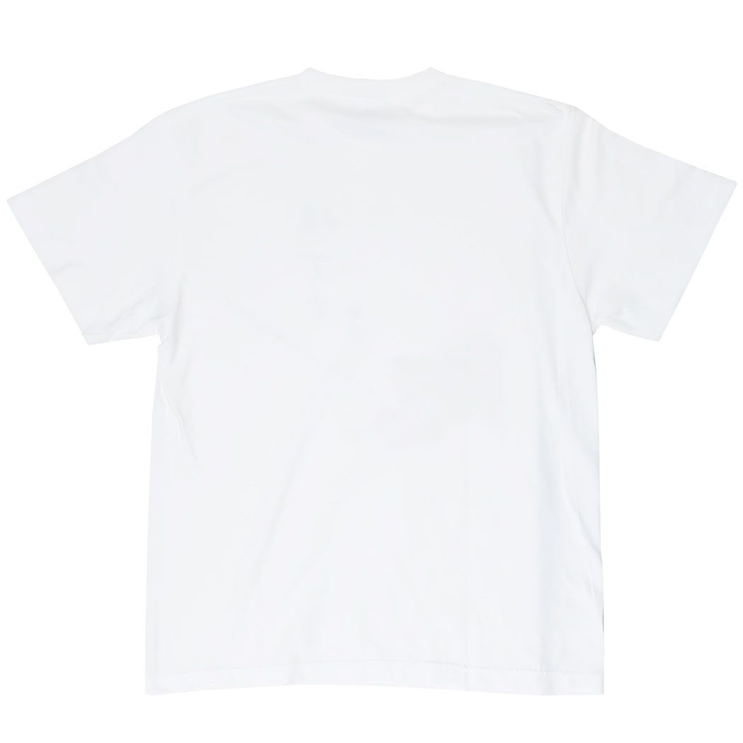 T-SHIRTS Tシャツ あさひふじしばた ホワイト Lサイズ XLサイズ いぬ フレンズヒル FRIENDSHILL 半袖 日本デザイン 和風 お土産 メンズ レディース メール便可