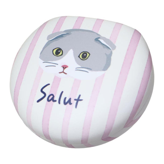 アクセサリーケース アクセサリー収納 ouaf ouaf＆miaou marche スコストライプ ピンク ねこ フレンズヒル FRIENDSHILL 小物入れ ミラー 鏡付き かわいい
