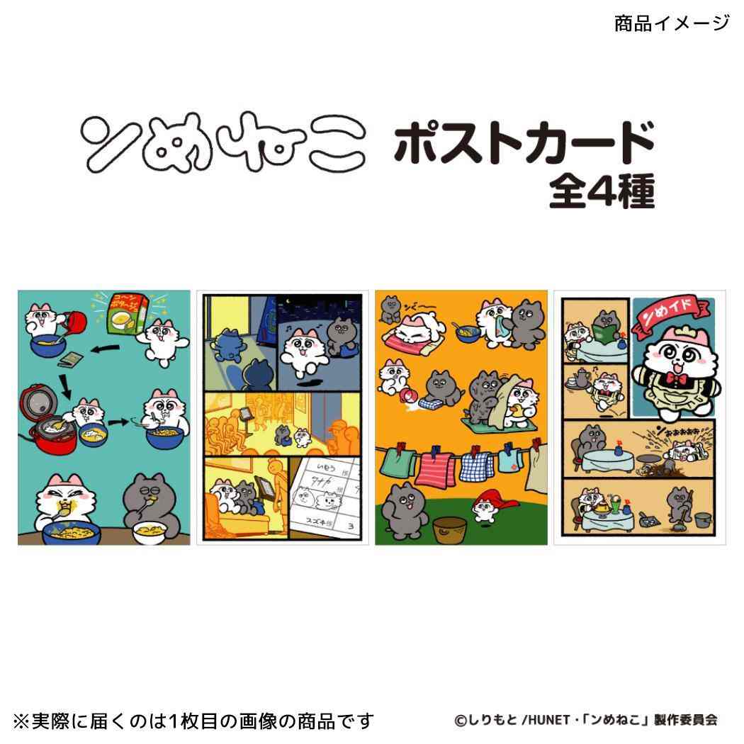 ポストカード 1枚入り POSTCARD ンめねこ じゅんばんまち フタバ グリーティングカード メール便可
