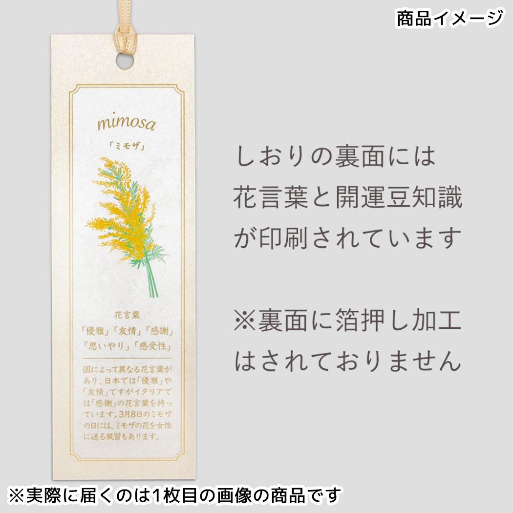 しおり 2枚入り ブックマーク ROKKAKU Hakuoshi Botanical ブルースター フタバ 箔押し ボタニカル 読書 栞 メール便可