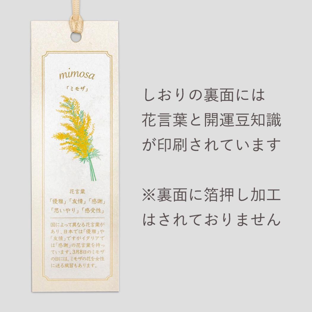 しおり 2枚入り ブックマーク ROKKAKU Hakuoshi Botanical ミモザ フタバ 箔押し ボタニカル 読書 栞 メール便可