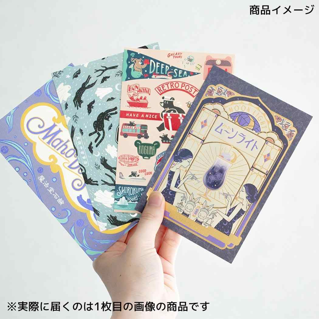 ポストカード 1枚入り POSTCARD ROKKAKUxオビワン BEAR'S フタバ 箔押し メッセージカード メール便可