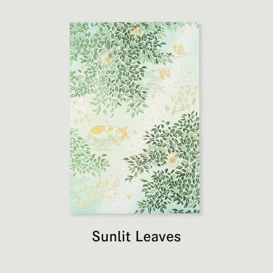 日常をハレの日に ポストカード POSTCARD 1枚入り Sunlit Leaves 記憶のまたたき フタバ