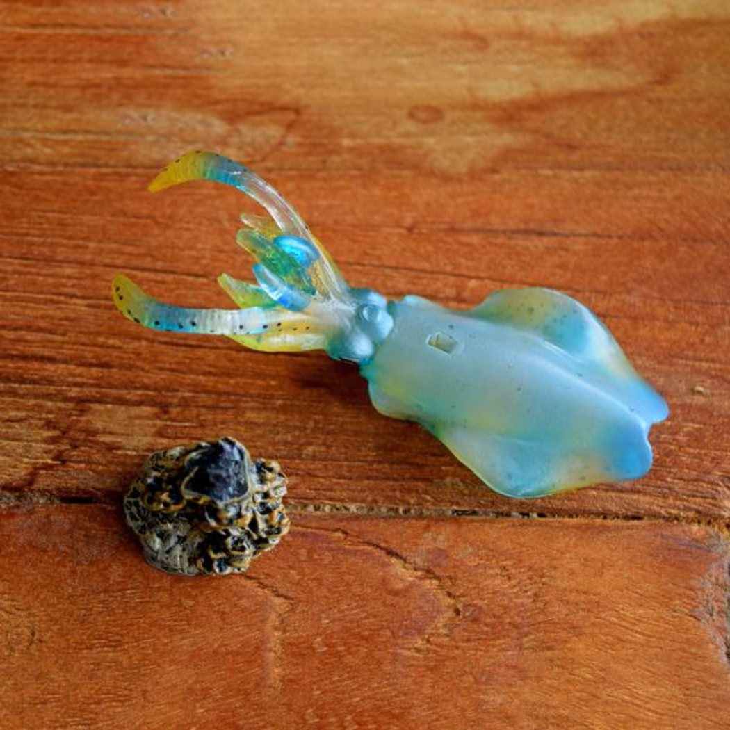 アクアフィッシュ ミニモデル アオリイカ フィギュア フェバリット ジオラマ 魚釣り