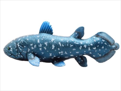 ビッグサイズフィギュア ソフトビニールモデル フィギュア 古代魚 シーラカンス 恐竜 フェバリット 遊べる 古生物 玩具
