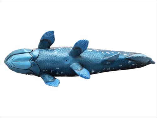 ビッグサイズフィギュア ソフトビニールモデル フィギュア 古代魚 シーラカンス 恐竜 フェバリット 遊べる 古生物 玩具