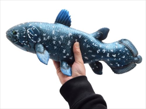 ビッグサイズフィギュア ソフトビニールモデル フィギュア 古代魚 シーラカンス 恐竜 フェバリット 遊べる 古生物 玩具