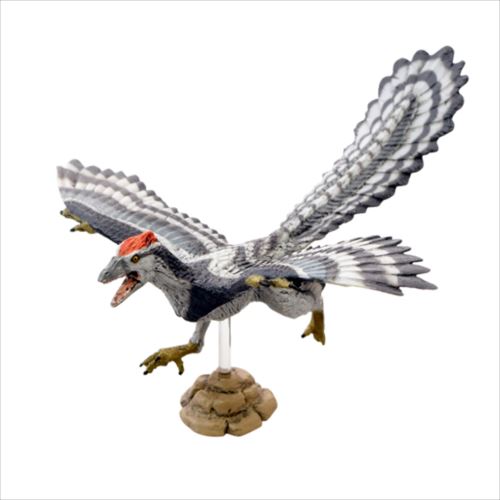 始祖鳥アーケオプテリクスフィギュアソフトモデルフィギュア恐竜フェバリットジオラマ自由研究台座付きグッズ通販シネマコレクション