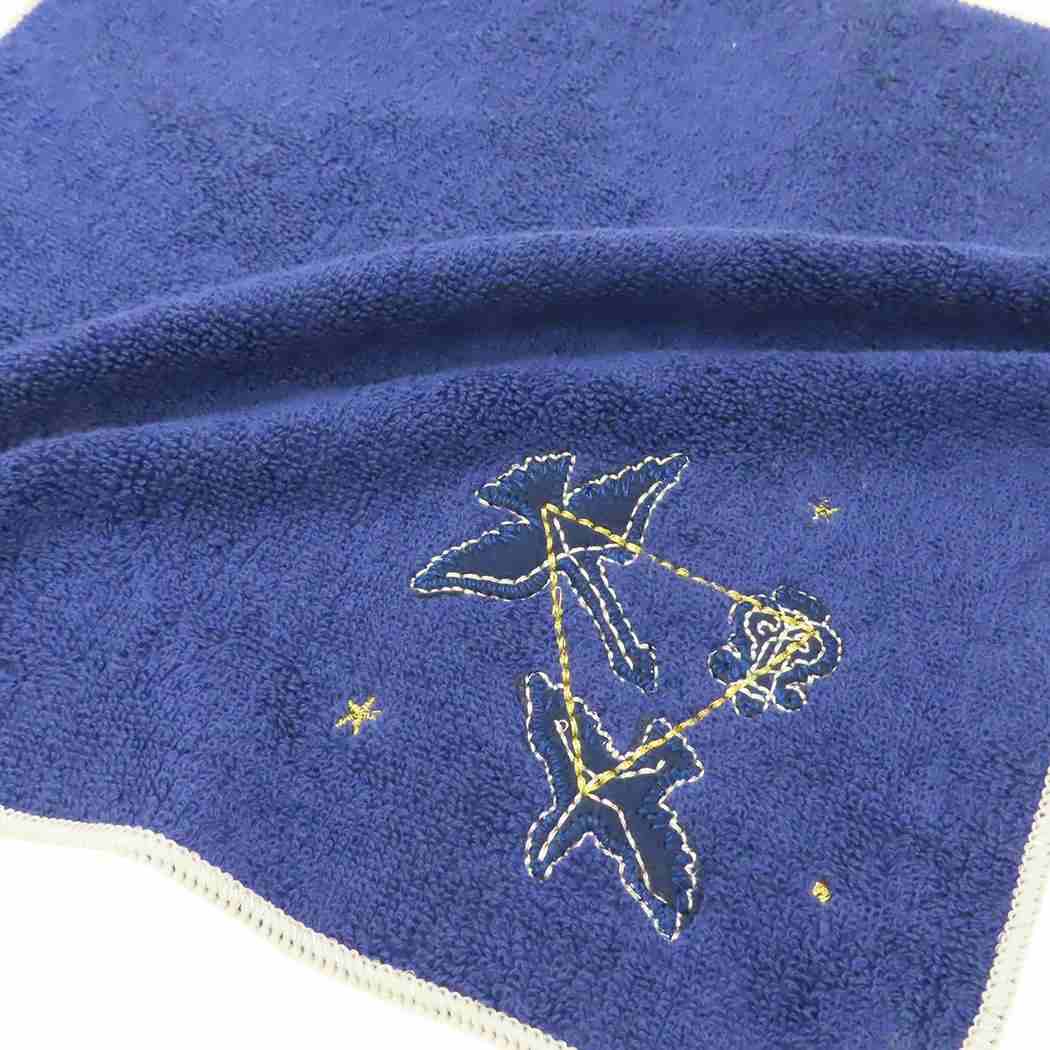 タオルハンカチ ミニタオル STUDY HOLIC 天文学 Green Flash 汗拭きタオル おもしろ雑貨 学び 学問 メール便可