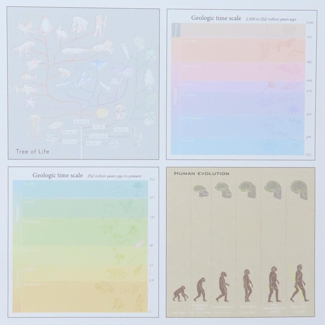 メモパッド スクエア メモ帳 STUDY HOLIC 進化生物学 Green Flash 新学期準備文具 事務用品 学び 学問 メール便可